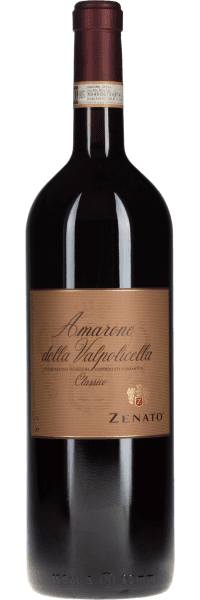 Amarone della Valpolicella - Zenato - Rotwein