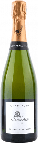 De Sousa et Fils - Chemins des Terroirs Extra Brut - Weißwein