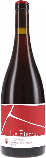 Coteaux Bourguignons Le Pierrot - Thomas-Collardot - Rotwein