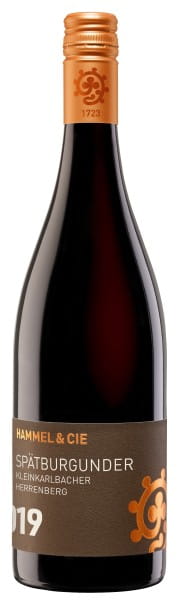 Spätburgunder Kleinkarlbacher Herrenberg Trocken - Weingut Hammel & Cie - Rotwein