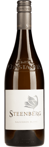 Sauvignon Blanc - Steenberg - Weißwein