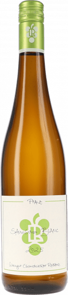 Sauvignon Blanc trocken - Ökonomierat Rebholz - Weißwein