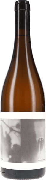 Sveto - Vino Gross - Weißwein