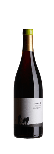 Fronhof Pinot Noir - Weingut Pflüger - Rotwein