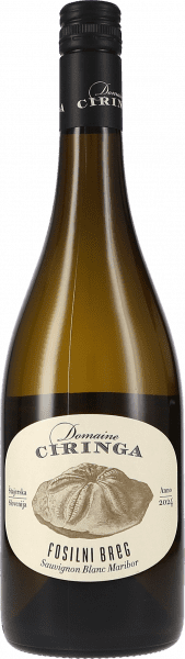 Ciringa Fosilni Breg - Tement - Weißwein