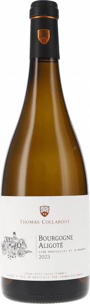 Bourgogne Aligoté - Thomas-Collardot - Weißwein