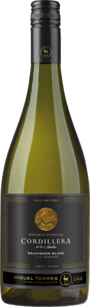 Cordillera Sauvignon Blanc Elqui Valley - Miguel Torres - Weißwein