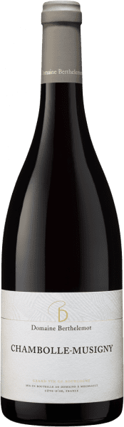 Chambolle Musigny - Domaine Berthelemot - Rotwein