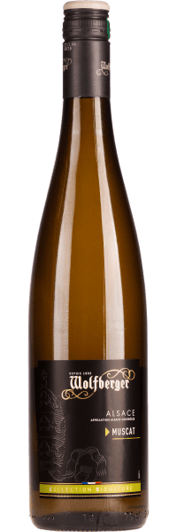 Muscat Signature - Wolfberger - Weißwein