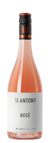 Pinot Noir Rosé Trocken - Weingut St. Antony - Roséwein
