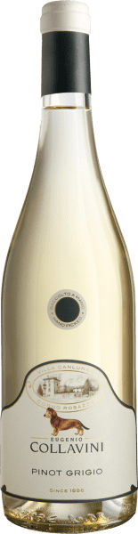 Pinot Grigio Canlungo - Eugenio Collavini - Weißwein