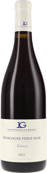 Bourgogne Pinot Noir Antonin - Jérôme Galeyrand - Rotwein