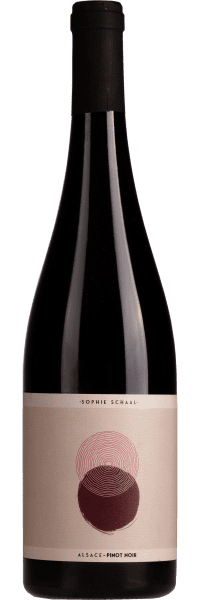 Pinot Noir - Sophie Schaal - Rotwein