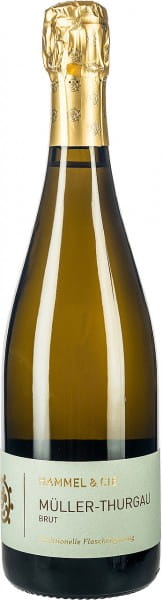 Müller-Thurgau Sekt - Weingut Hammel & Cie - Weißwein