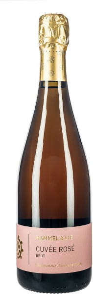 Rosé Sekt - Weingut Hammel & Cie - Roséwein