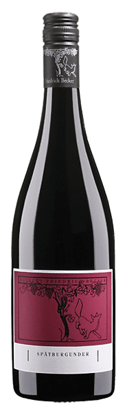 Spätburgunder Trocken - Friedrich Becker - Rotwein