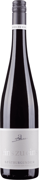 Spätburgunder eins zu eins trocken - Weingut Diehl - Rotwein