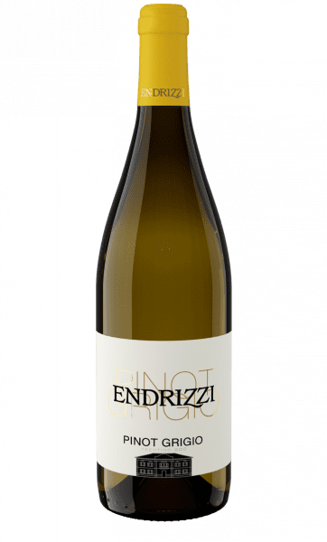 Pinot Grigio DOC Trentino - Cantina Endrizzi - Weißwein