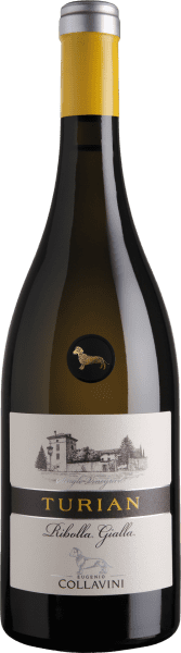 Turian Ribolla Gialla Friuli Colli Orientali - Eugenio Collavini - Weißwein
