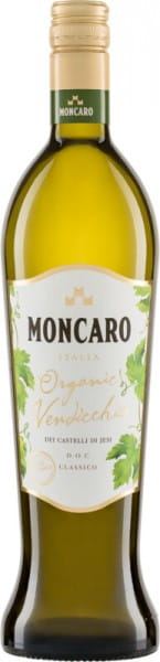 Verdicchio ANFORA Castelli di Jesi - Cantina Moncaro - Weißwein
