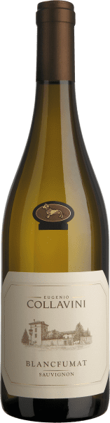 Sauvignon Blancfumat Collio - Eugenio Collavini - Weißwein