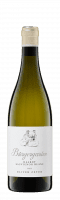 Sauvignon Blanc Bürgergarten Oliver Zeter 2024