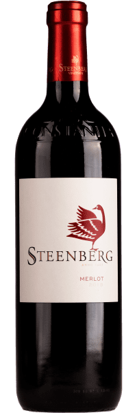 Merlot - Steenberg - Rotwein