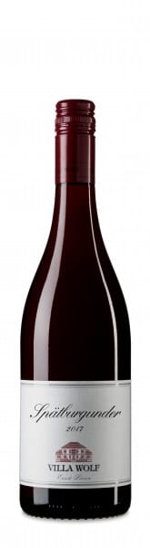 Spätburgunder - Villa Wolf / Loosen - Rotwein