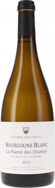 Bourgogne blanc La Plante des Champs - Thomas-Collardot - Weißwein