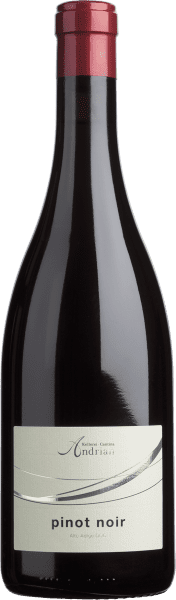 Pinot Noir Cantine Andrian - Cantina Andrian - Rotwein