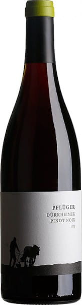 Pinot Noir Tradition - Weingut Pflüger - Rotwein