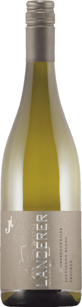 Oberrotweiler Sauvignon Blanc Trocken - Landerer - Weißwein