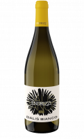 Dalis Bianco Cantina Endrizzi 2023