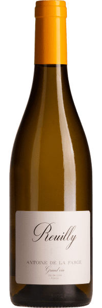 Reuilly - Domaine Guy Farge - Weißwein
