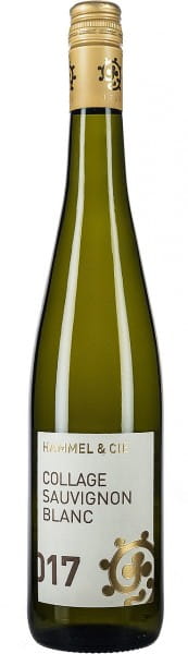 Collage Sauvignon Blanc tr. - Weingut Hammel & Cie - Weißwein