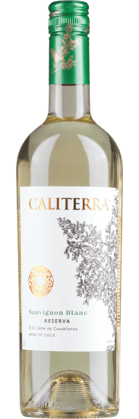 Sauvignon Blanc Reserva - Viña Caliterra - Weißwein