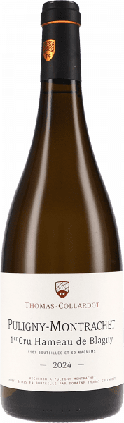 Puligny-Montrachet 1er Cru Hameau de Blagny - Thomas-Collardot - Weißwein