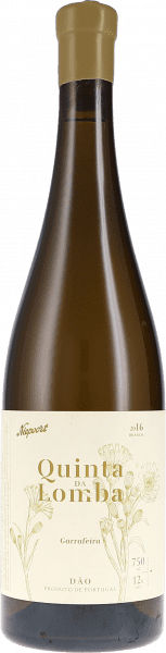 Quinta da Lomba Branco, Garrafeira Dão DOC - Quinta da Lomba - Niepoort - Weißwein