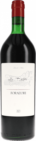 Foradori Teroldego Vigneti delle Dolomiti IGT - Foradori - Rotwein
