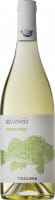 Vermentino - I Vini del Mare Belvento - Weisswein
