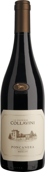 Merlot Di Casa Venezia Giulia - Eugenio Collavini - Rotwein