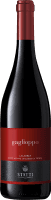 Gaglioppo Statti 2022 | 6Fl.