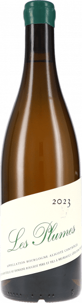 Bourgogne Aligoté Les Plumes Sans Sulfite Ajouté - Rougeot Père & Fils - Weißwein