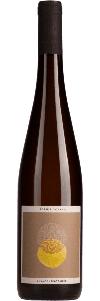Pinot Gris - Sophie Schaal - Weißwein