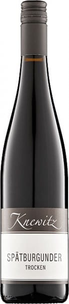 Spätburgunder trocken - Weingut Knewitz - Rotwein