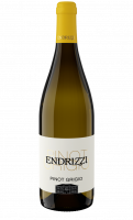 Pinot Grigio DOC Trentino Cantina Endrizzi 2023
