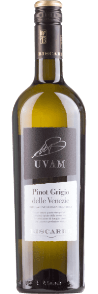 UVAM Pinot Grigio delle Venezie - Biscardo Vini - Weißwein