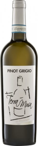 Pinot Grigio Venezia - Terra Musa di Moreno Musaragno - Weißwein